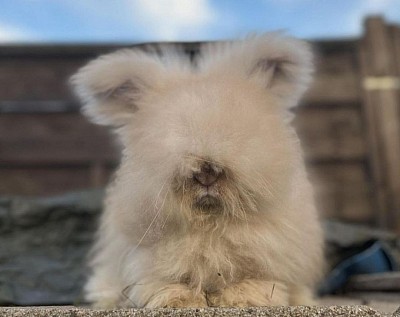 B